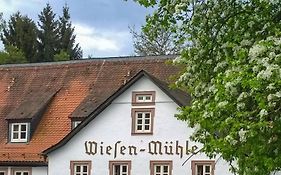 Hotel Brauhaus Wiesenmühle